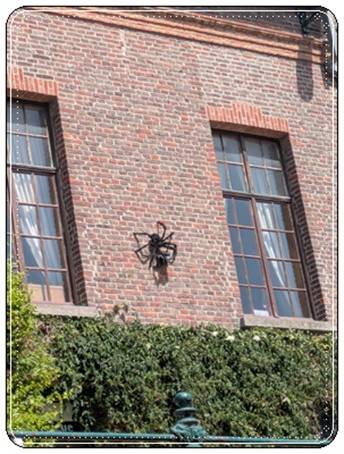 2025-Begien-Gent-381