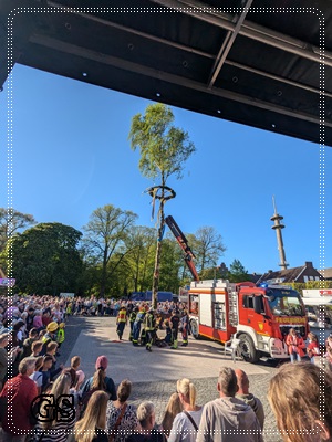 PXL_20250430_160750772